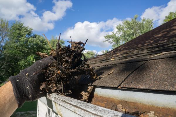 Worker With Black Safety Glove Cleaning the Gutter And Downpipe Filled With Leaves